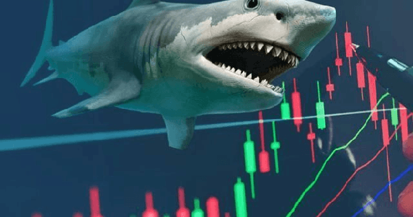 Dư báo VN-Index hướng lên vùng 1.850-1.870 trong tháng 9, CTCK chỉ ra loạt cổ phiếu kỳ vọng “hút tiền”
