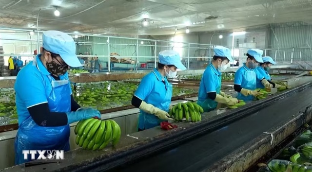 Gia Lai đặt mục tiêu có 60.000 – 65.000 doanh nghiệp hoạt động vào năm 2030